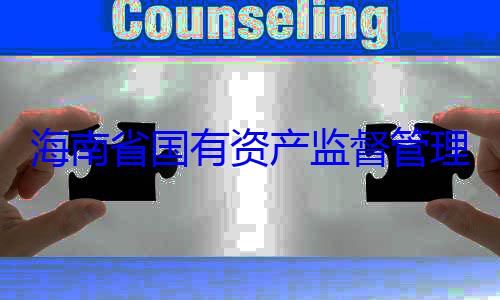 海南省国有查调查资产监督管委副书记王有福接受审理委员会党